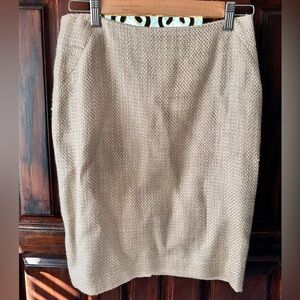 Ann Taylor Pencil Skirt